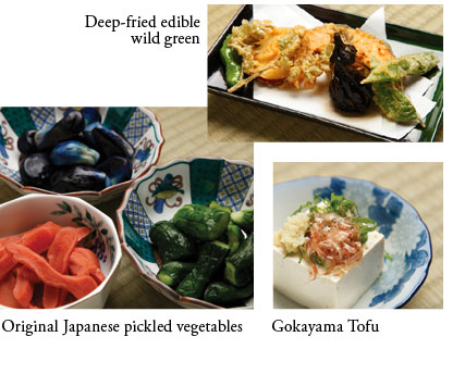 Deep-fried edible wild green.Original Japanese pickled vegetables.Gokayama Tofu.